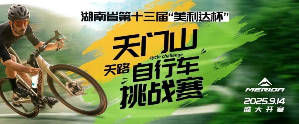 代婷, 购买百万元